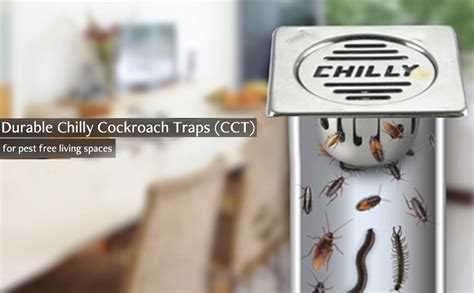 chilly trap|anti cockroach floor trap.